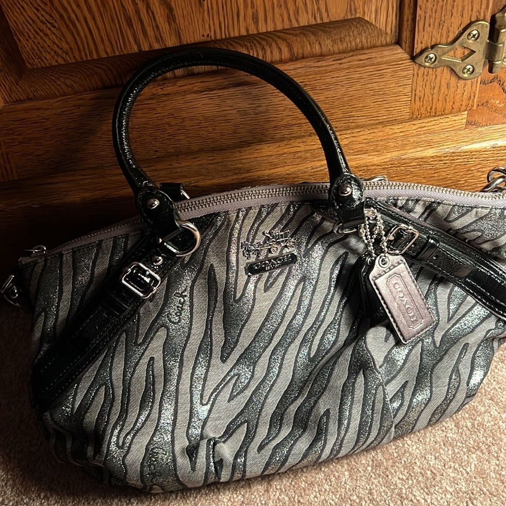EUC Coach Bag
